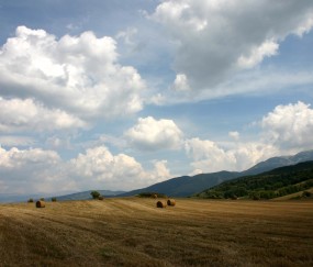 怀孕初期会不会不觉得饿