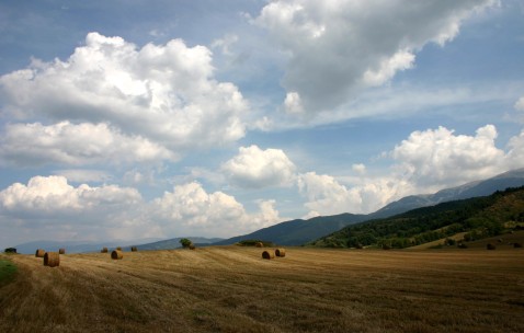 怀孕初期同房会导致终止妊娠吗