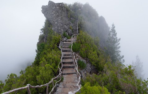 三院试管成功率