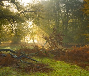 报生育保险怀孕健康手册有啥用