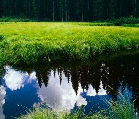 妊娠合并心脏病孕期健康宣教