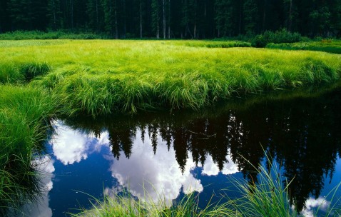 昆明最新供卵生殖中心名单公开，2024申请供卵需要排队吗！