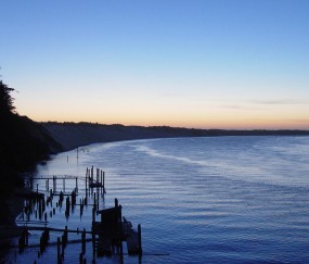 怀孕初期肚子阵阵下坠疼