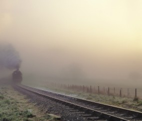 怀孕初期要做什么吃什么