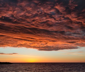 孕妇喝金领冠奶粉放屁